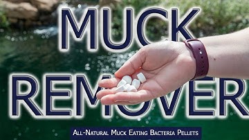 Muck Remover - Natural Muck Eating Bacteria Pellets for ponds
