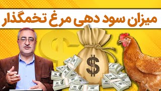 Profitability Of Laying Hens   میزان سود دهی مرغ تخمگذار