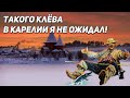 Вот так рыбалка!/Страна озёр очень удивляет!/Из Питера в Карелию на рыбалку/Часть 2