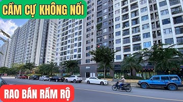 Hàng chục căn nhà RAO BÁN RẦM RỘ ở vùng ven Sài Gòn - Giáp Gò Vấp.