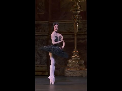 Marianela Nuñez As Odile Swan Lake 