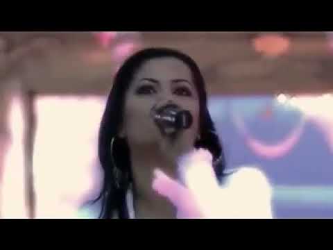 تقرير عن الفنانة امل شبلي
