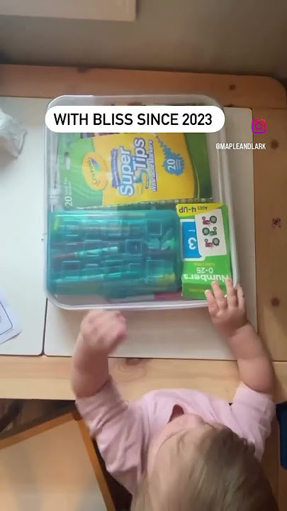 Toy Storage and Organization with Bliss Bins! #christmasgifts