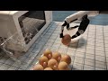 Have you ever eaten egg custard made by a robot