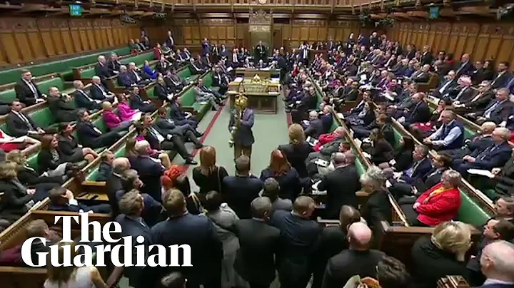 'Put it back!': Labour MP grabs the mace during pa...