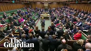 'Put it back!': Labour MP grabs the mace during parliament