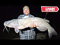 GIANT Red River CATFISH - LIVE