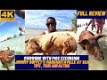 4k swim with pigs excursion review and tour  margaritaville at sea  mrbucketlist