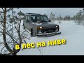 ВЫХОДНОЙ. В ЛЕС НА НИВЕ, В ЦЕЛЫЙ СНЕГ