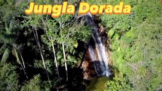 Descubre los impresionantes lugares turísticos de Coviriali, Perú: Catarata Jungla Dorada y mas