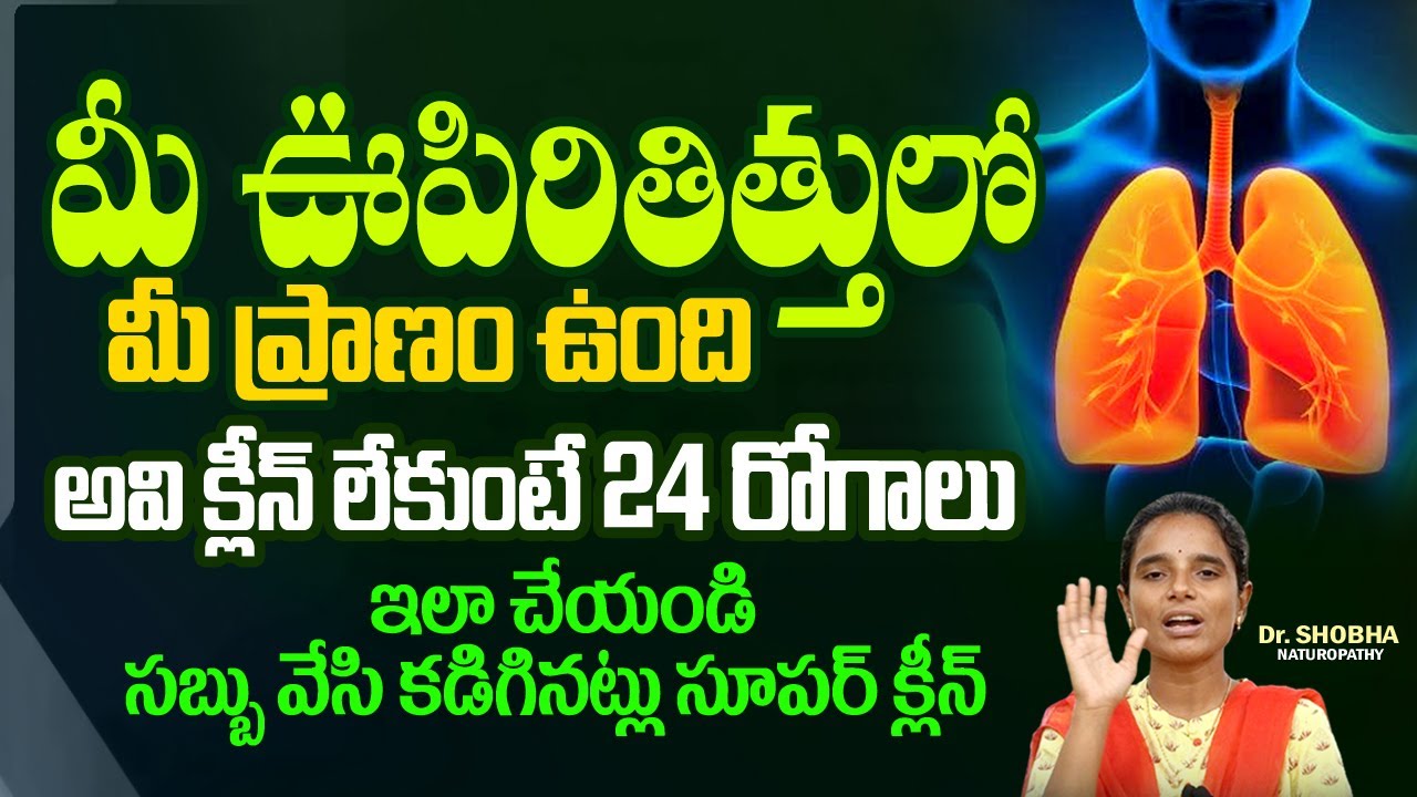 How The Respiratory System Works in Human Body in Telugu Best Tips to