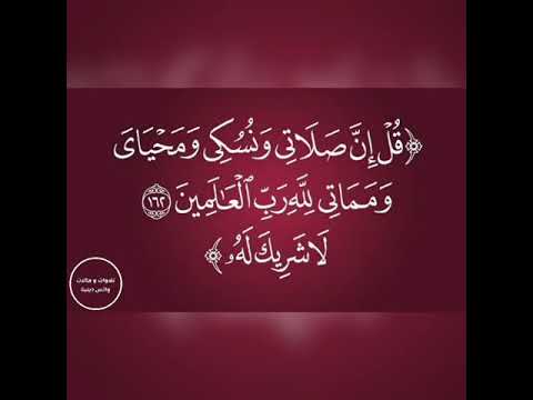 حالة واتس رائعة للشيخ عبد الناصر حرك