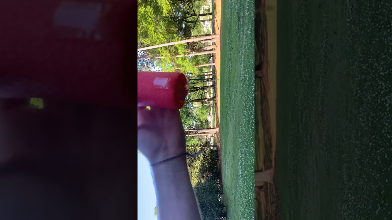 Egg Drop Pool Noodle Egg Sleeve. YouTube