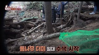 TV 동물농장 | 사라진 3남매를 찾아서, 골프장 수색 작전!