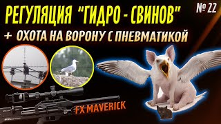 Регуляция Гидро-Свинов + Охота на Ворону № 22. Crow Hunting 2023. Кроухантинг. Jack Hunter.