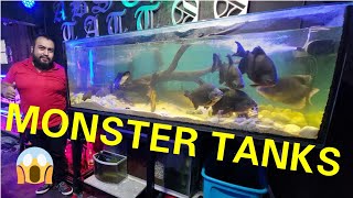 JUAN AND HIS 5 GIANT MONSTER TANKS WITH HOME FILTRATION