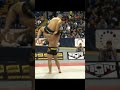 Rousimar palhares brutal slam  heel hook opponent shorts