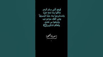 سورة النحل الآية ١٤ الى ١٦ بصوت الشيخ ماهر المعيقلي