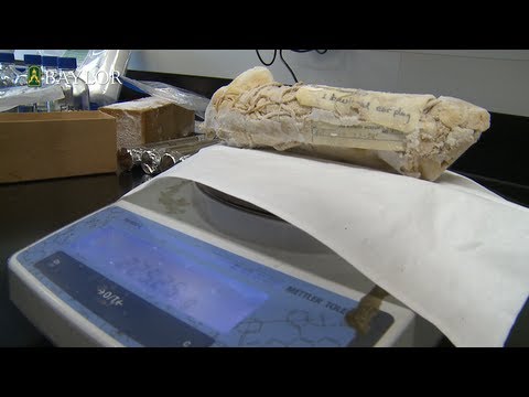 Baylor Professors Study Whale Earwax to Uncover Ocean Contaminants