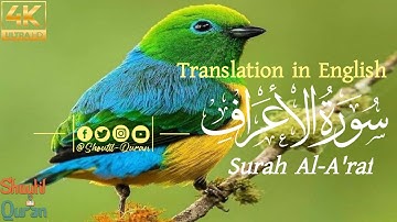 Surah Al-A'raf (Verses 176-179) (سورة الأعراف) Heart Touching Voice | @Shoutil-Quran