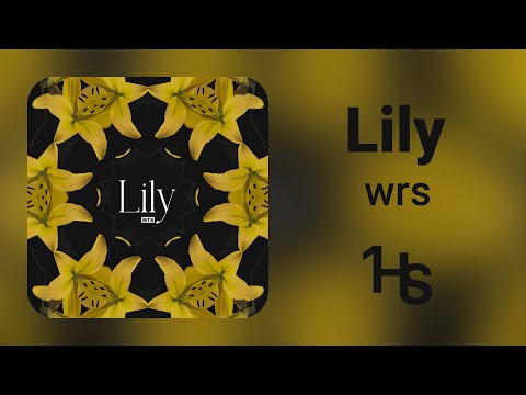 wrs - Lily | 1 Hour