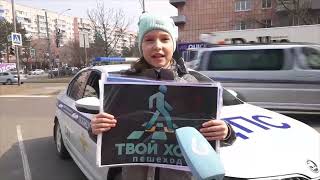 В Хабаровском крае проходит акция “Твой ход - пешеход”
