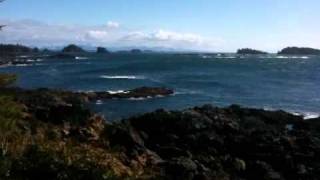 video1.mov: Wild Pacific Trail Lighthouse Loop Wealth