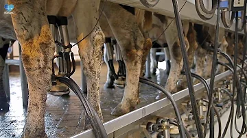 Bei welchen Medikamenten keine Milch trinken?