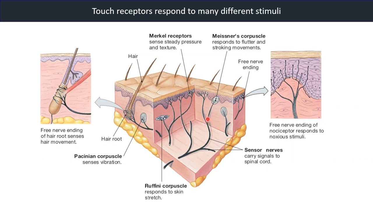 youtube-video-thumbnail