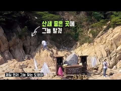 [NCT 쟈니 유타 도영] 서로 성격 다른 거 유독 잘 보이는 영상