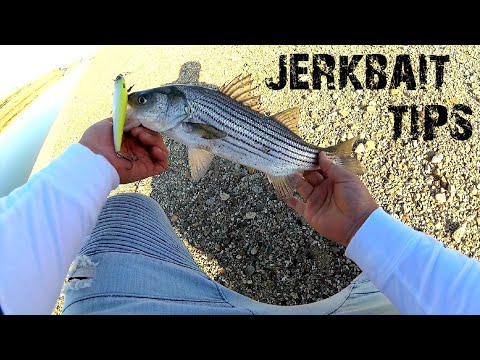How To Use Jerkbaits for Striper @ The California Aqueduct