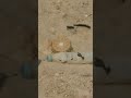 أسرار مخلفات الحروب