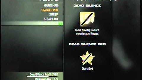 Mw3 Best custom class setup