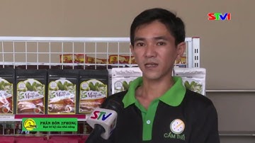 Trà mãng cầu Cẩm Thiều sản phẩm OCOP của địa phương đạt chứng nhận 4 sao - STV Sóc Trăng