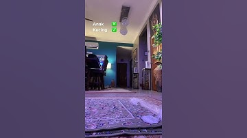 Thumbnail of kucing takut hantu