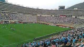 Extremo Celeste Vs Gallinas 2018