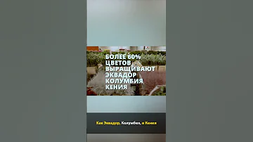 В какой стране больше всего цветов ? #shorts