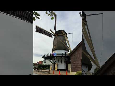 De Hoop in