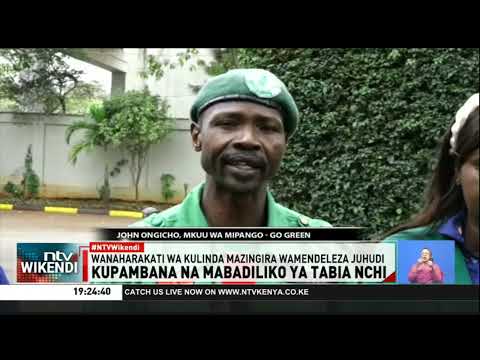 Wanaharakati Wasisitiza Kupanda Miti Zaidi Kufikia Asilimia 10 Misitu Kenya Wanaharakati Wasisitiza Kupanda Miti Zaidi Kufikia Asilimia 10 Misitu Kenya