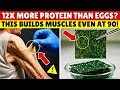 Forget Eggs! THIS Cheap Food Builds Muscle FASTER Even at 80 | Senior Health Tips