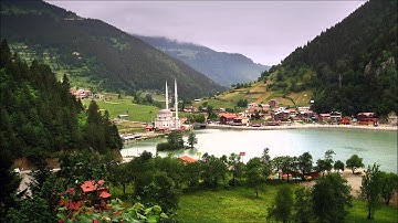 سورة الزمر - سعد الغامدي