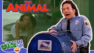 ROB SCHNEIDER can't CONTROL his ANIMAL INSTINCTS | The Animal