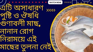 সামুদ্রিক রূপচাঁদা মাছের উপকারিতা  | রূপচাঁদা মাছ  | Nutrition facts with Nazrul Islam |