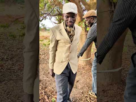 Ukwangala Kwaba Zulu Naba Longwani Fypviral