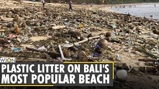 Massive Clean up begins on Bali's beach as army of local volunteers begin cleaning | World News