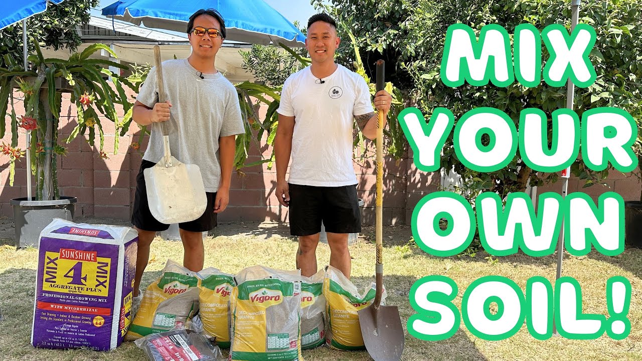 Используйте эту почвенную смесь для ваших драконовых фруктов! Очень просто и доступно приготовить...