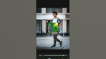 #shorts PicsArt background change photo editing video #short