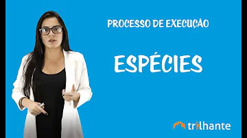 Qual é o objetivo do processo de execução?