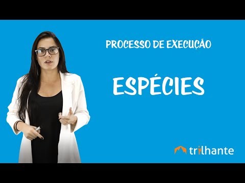 Vídeo: O que é processo de execução?