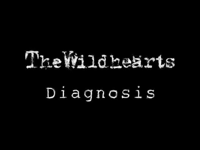 The Wildhearts - Diagnosis